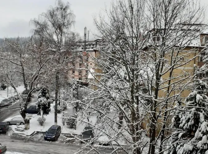 Apartament Ultra Central Marly Gura Humorului